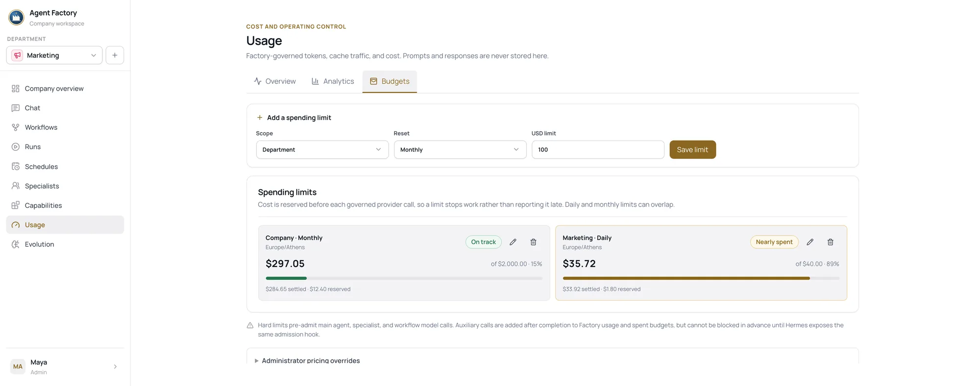 The Budgets tab showing a company monthly limit on track at fifteen per cent and a Marketing daily limit nearly spent at eighty-nine per cent.
